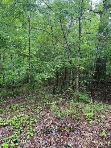 $2,000 | Lot 72 Block B Holiday Hills, Como, MS 38619
