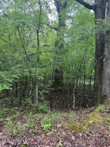 $2,000 | Lot 72 Block B Holiday Hills, Como, MS 38619