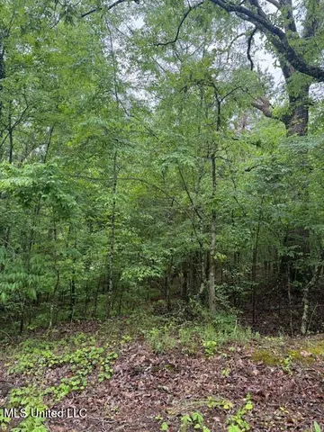 $2,000 | Lot 72 Block B Holiday Hills, Como, MS 38619