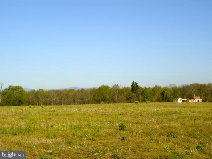 4 Stevensburg Road Culpeper, VA 22701 - Photo 3 of 6 Looking across the lot