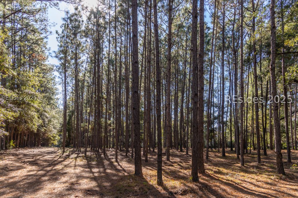 0 Meridian Road Beaufort, SC 29907 - Photo 18 of 28