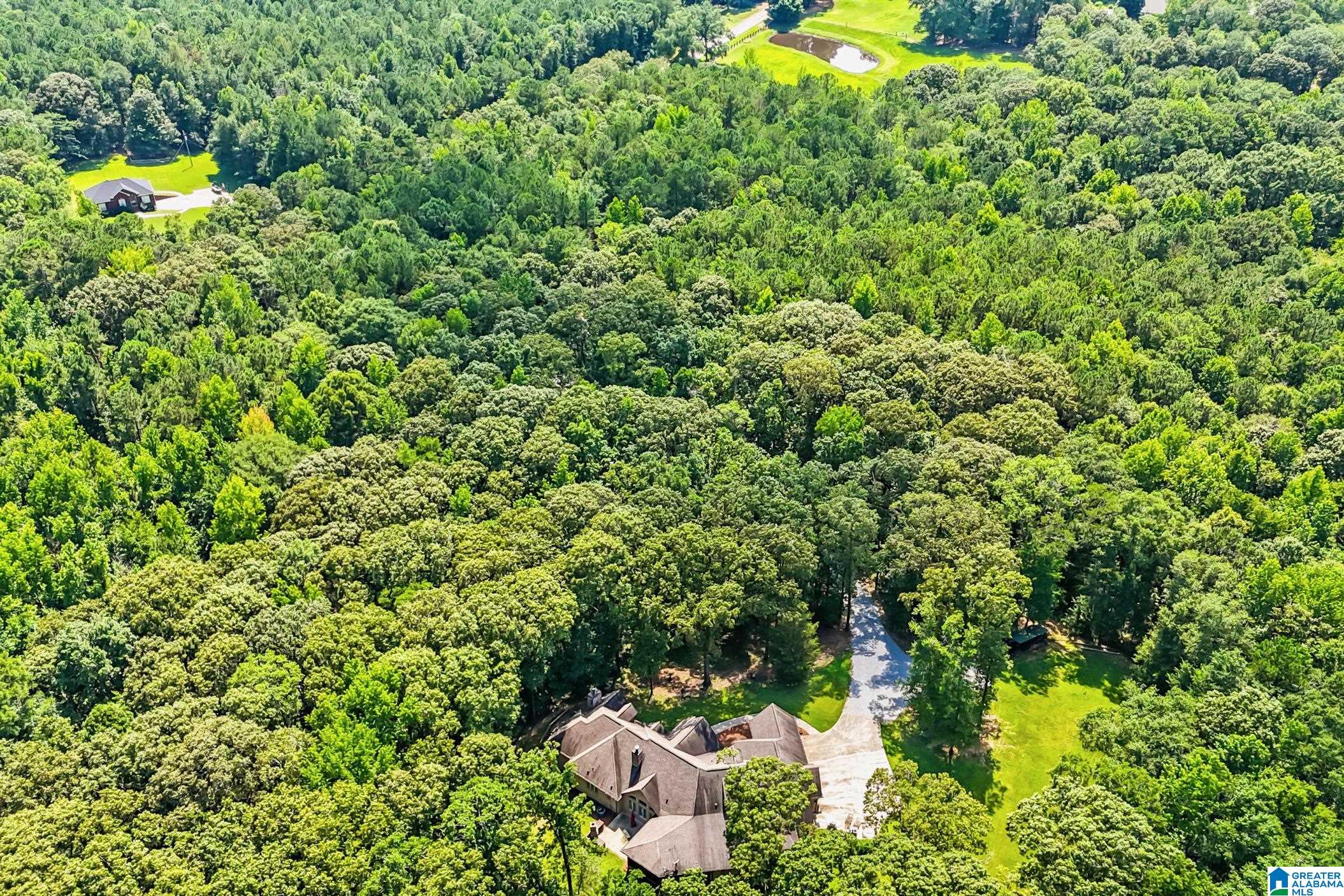 931 Newsome Road Wilsonville, AL 35186 - Photo 71 of 79