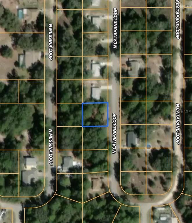 8630 North Catapane Loop  