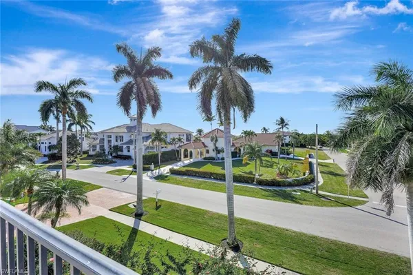 a view of a park with palm trees