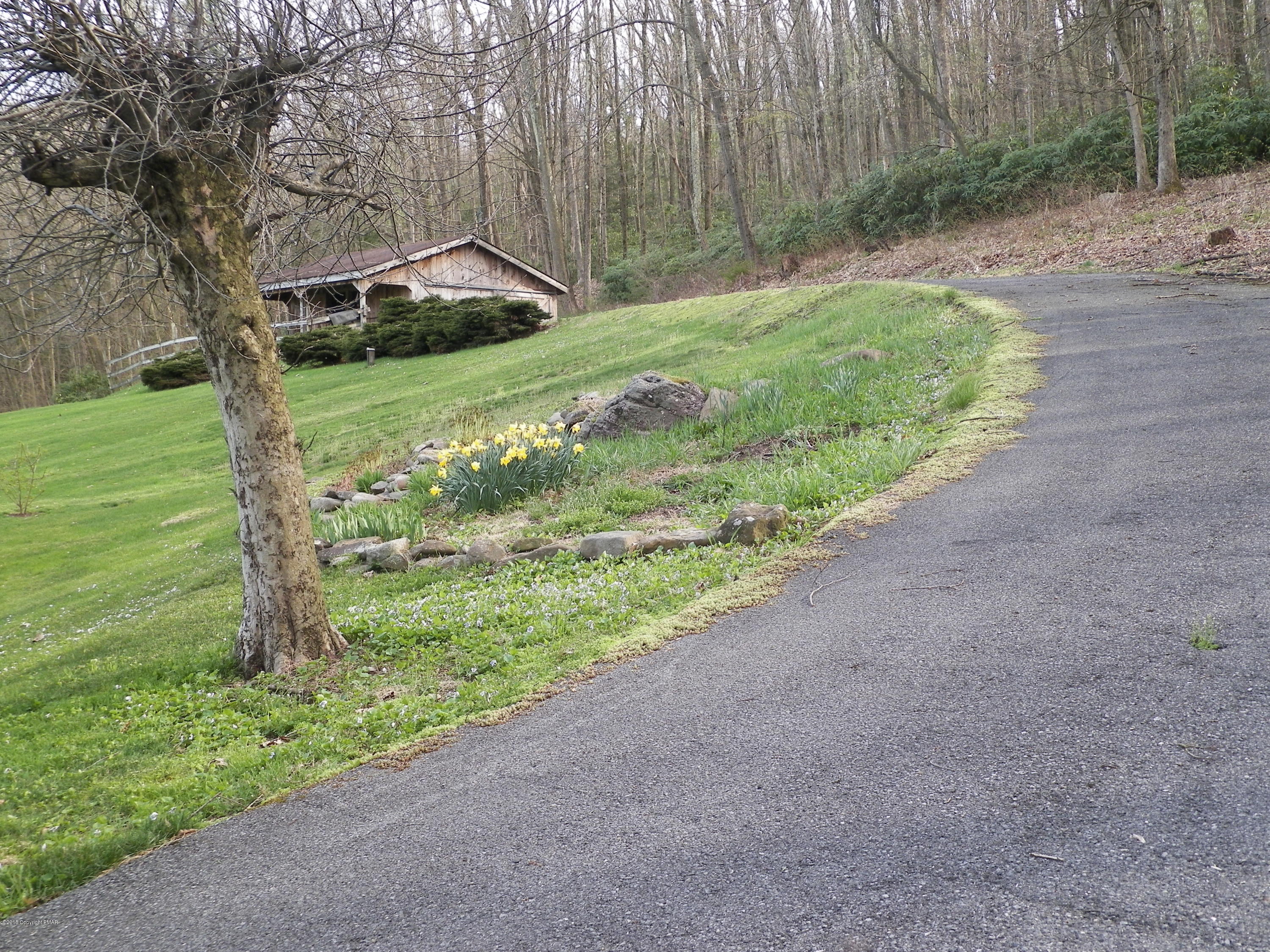 447 Merwinsburg Road Effort HORSE TRAIL