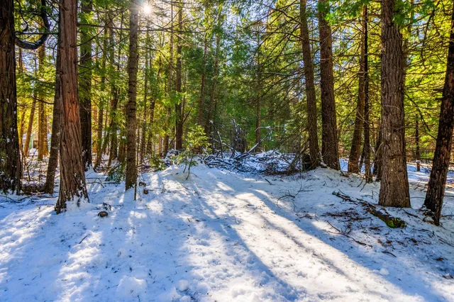 $30,000 | Ritts Mill Road, Shingletown, CA 96088