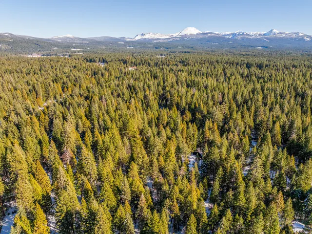 $30,000 | Ritts Mill Road, Shingletown, CA 96088