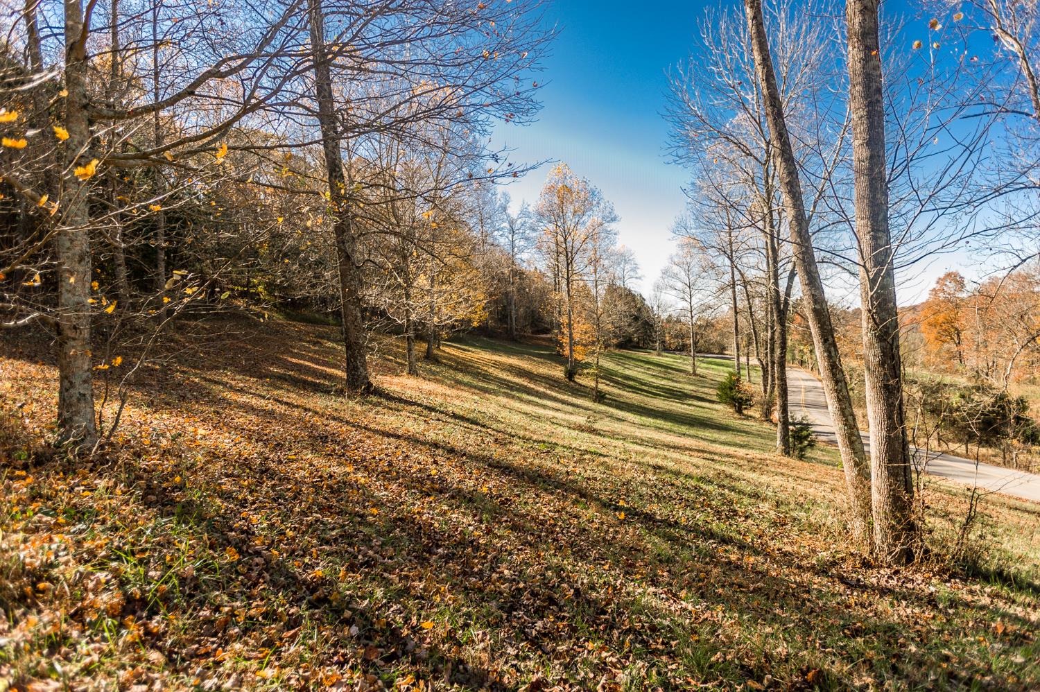 1 Red Tuttle Road Bethpage, TN 37022 - Photo 14 of 25 Gallery Image 14
