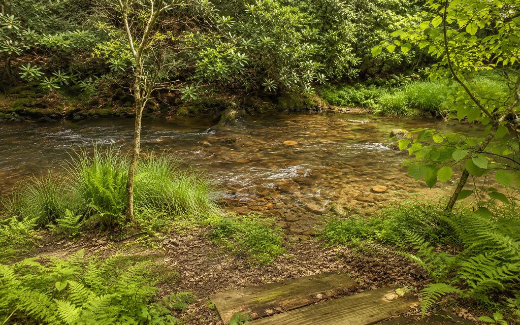 3149 Big Creek Road Cherry Log, GA 30522 - Photo 61 of 64 Gallery Image 61