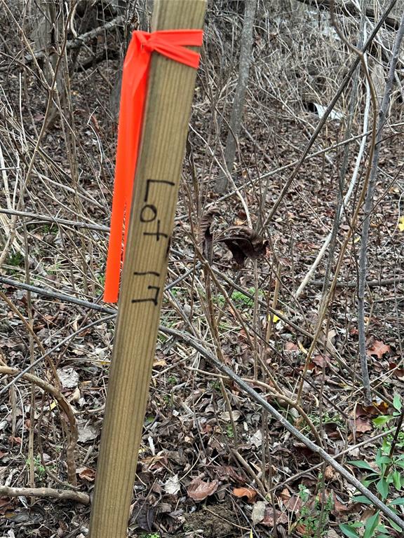 621 Munson Street Denison, TX 75021 - Photo 6 of 11 Exterior view