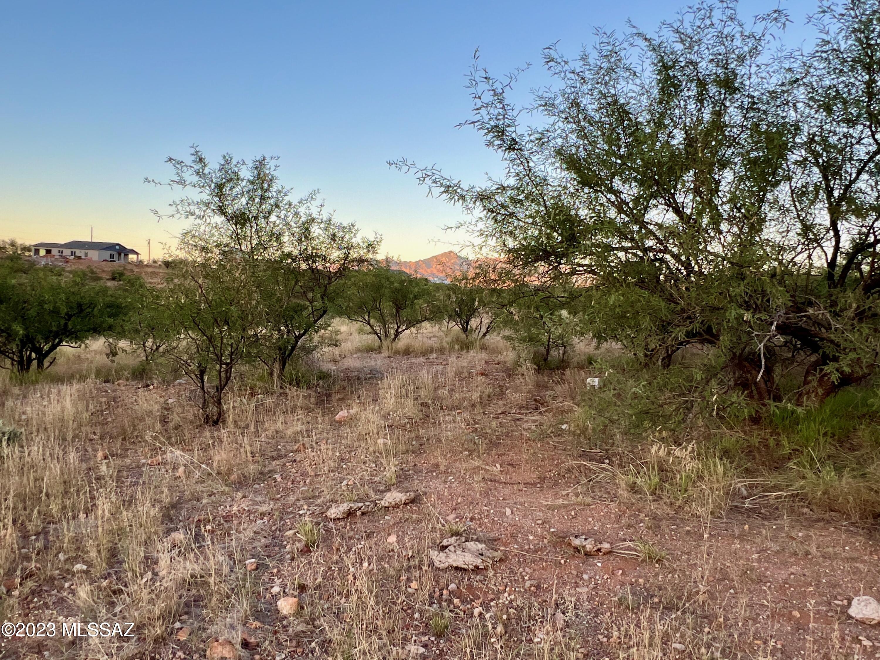 1197 Circulo Golfo, Unit 65 Rio Rico, AZ 85648 - Photo 8 of 16