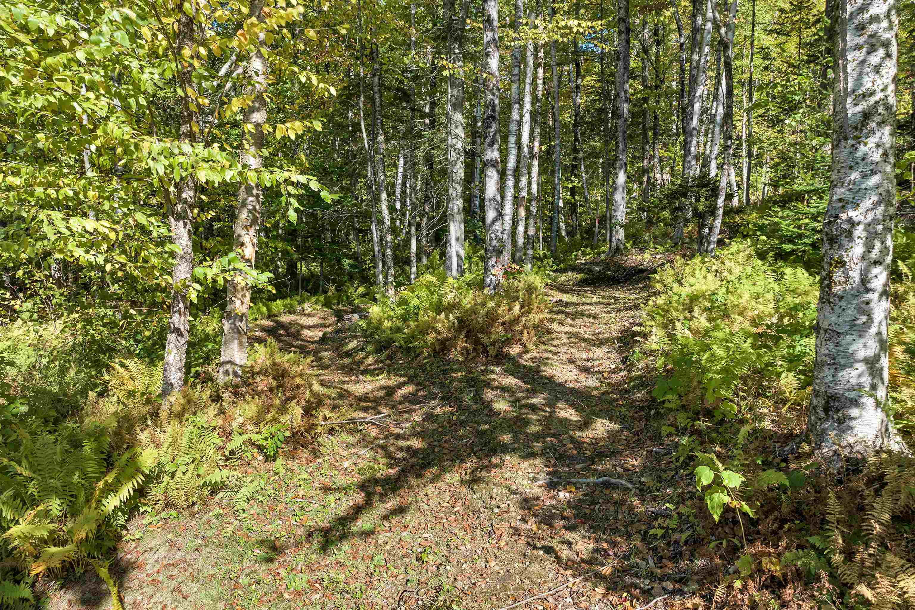 46 Lower Highlands Road Jackson, NH 03846 - Photo 22 of 59