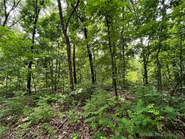 $76,000 | Tbd 20.79-acres Tbd 20.79-acres Lake, Stover, MO 65078