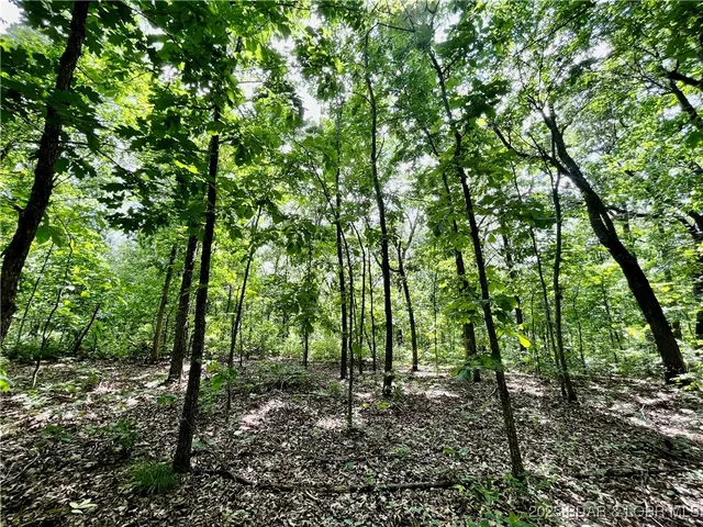 $76,000 | Tbd 20.79-acres Tbd 20.79-acres Lake, Stover, MO 65078