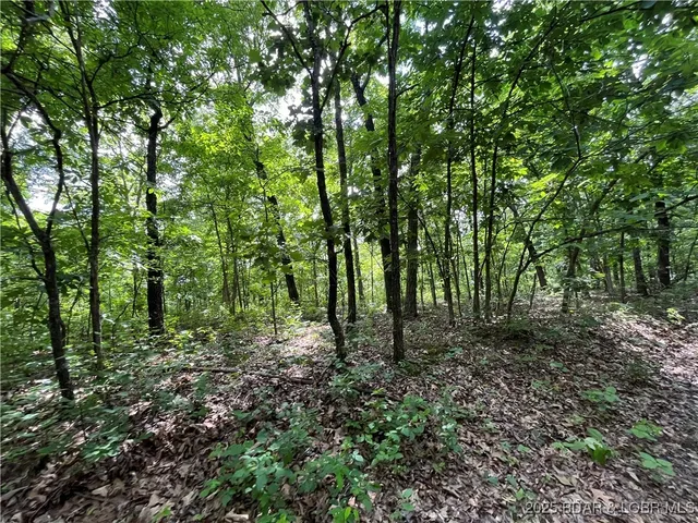 $76,000 | Tbd 20.79-acres Tbd 20.79-acres Lake, Stover, MO 65078
