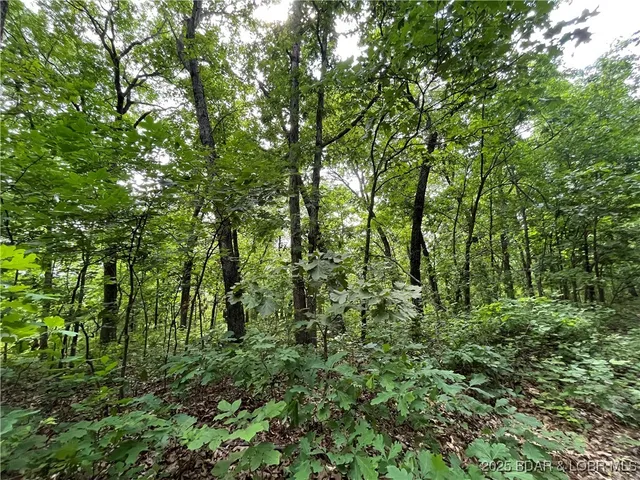 $76,000 | Tbd 20.79-acres Tbd 20.79-acres Lake, Stover, MO 65078