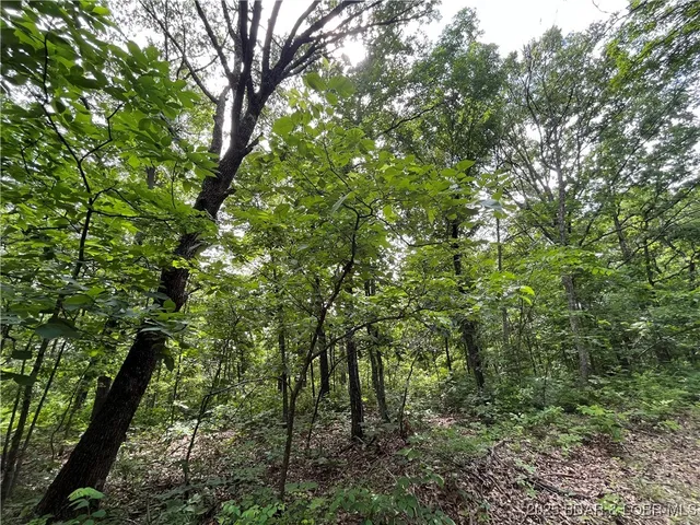 $76,000 | Tbd 20.79-acres Tbd 20.79-acres Lake, Stover, MO 65078