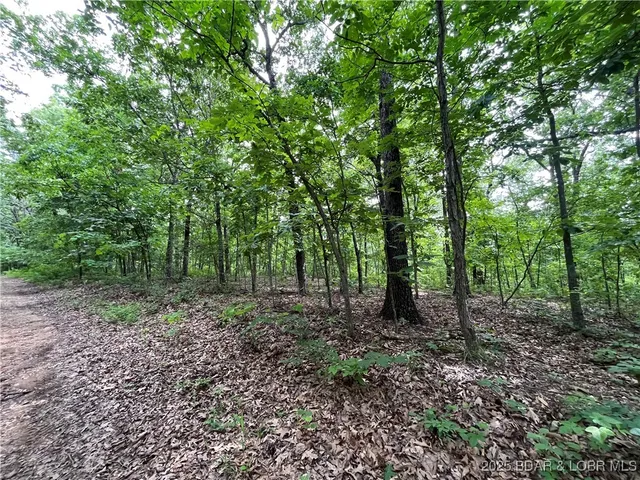 $76,000 | Tbd 20.79-acres Tbd 20.79-acres Lake, Stover, MO 65078