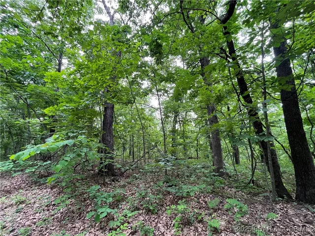 $76,000 | Tbd 20.79-acres Tbd 20.79-acres Lake, Stover, MO 65078