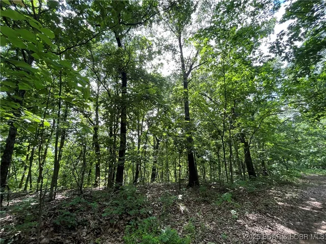$76,000 | Tbd 20.79-acres Tbd 20.79-acres Lake, Stover, MO 65078