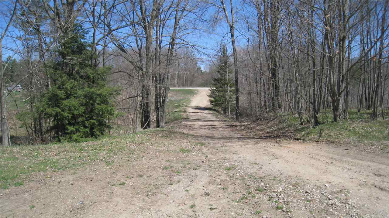 14551 Rosa Road Thompsonville, MI 49683 - Photo 29 of 35 1815534-28.JPG