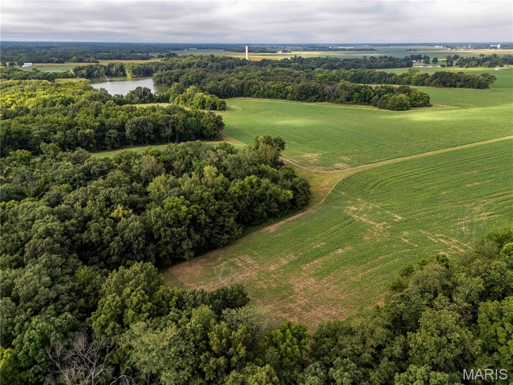 0 Terry Park Road Palmyra, IL 62674 - Photo 26 of 73 Gallery Image 26