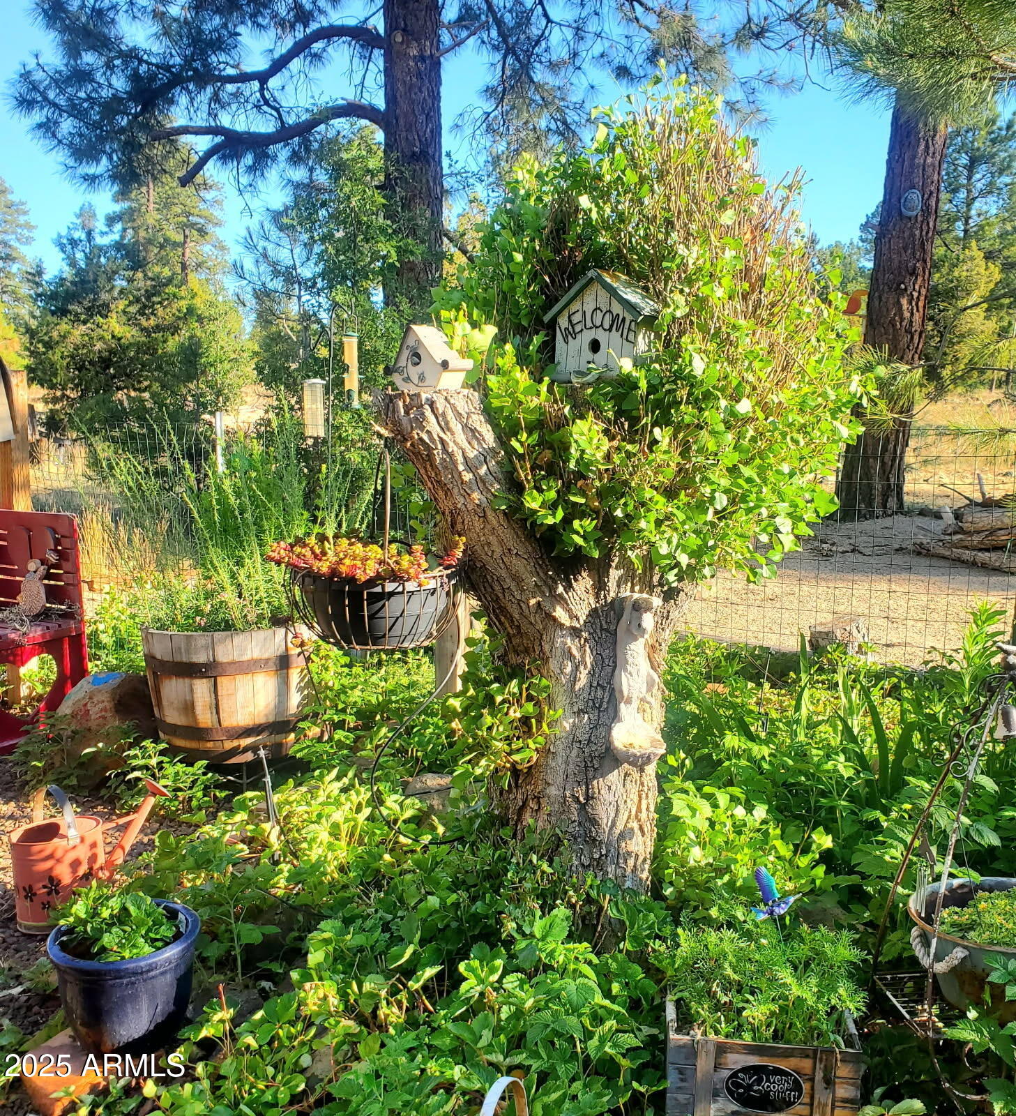 1220 Caribou Road Munds Park, AZ 86017 - Photo 27 of 42 a garden with a fountain and a potted plant