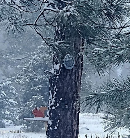 $565,000 | 1220 Caribou Road, Munds Park, AZ 86017