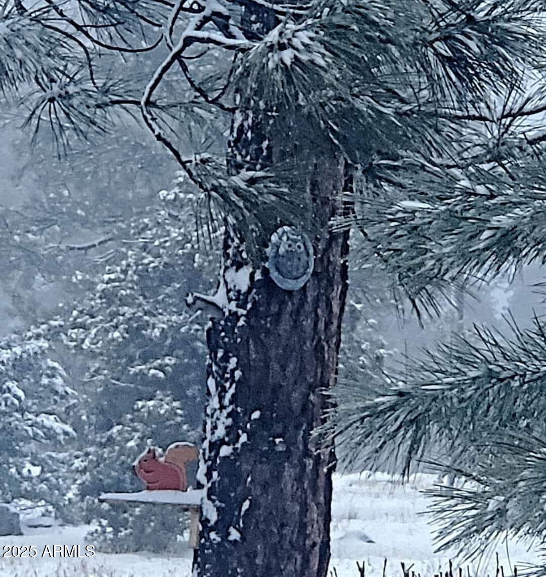 1220 Caribou Road Munds Park, AZ 86017 - Photo 36 of 42 a view of outside area