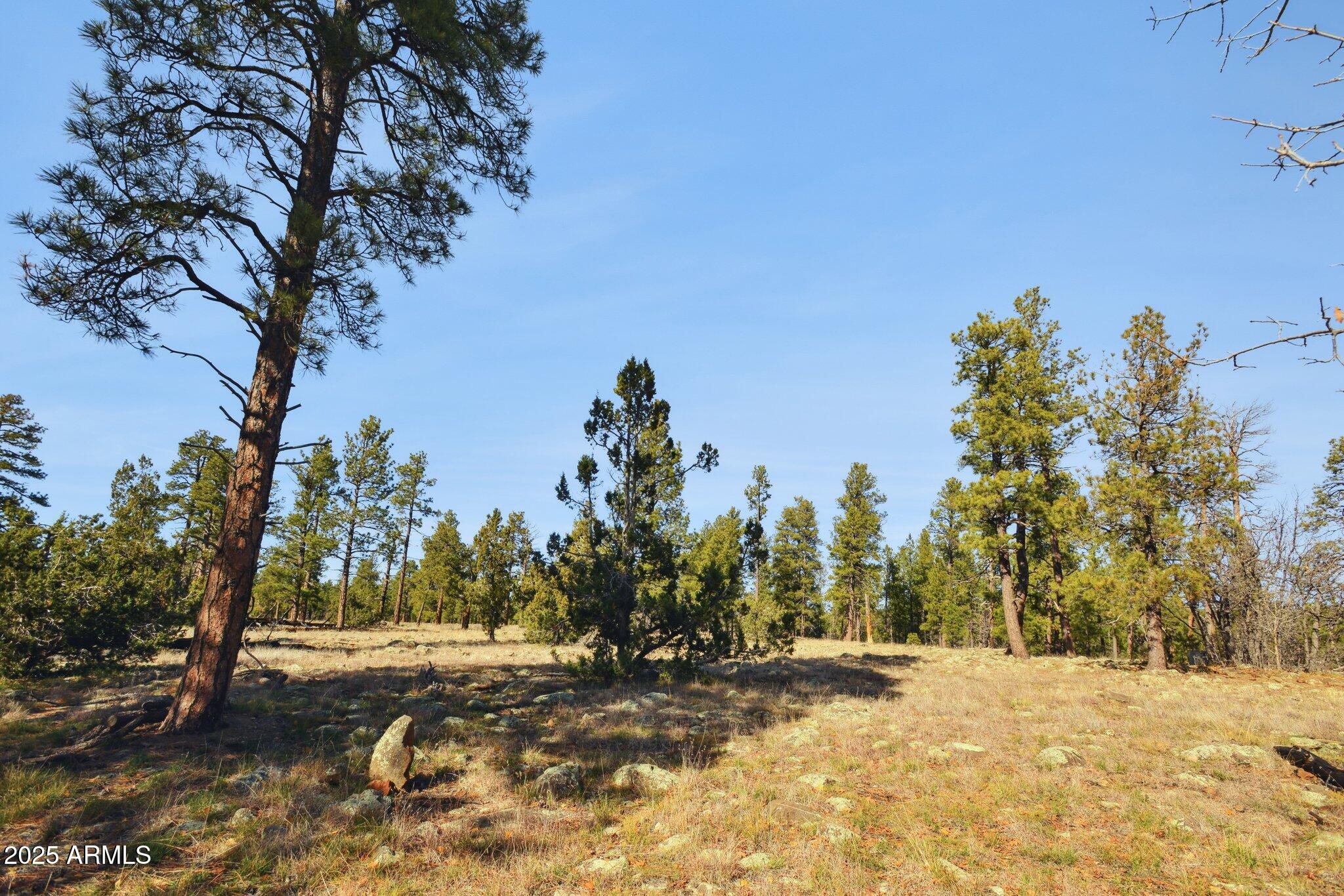 1220 Caribou Road Munds Park, AZ 86017 - Photo 40 of 42 31-web-or-mls-1220-caribou-rd