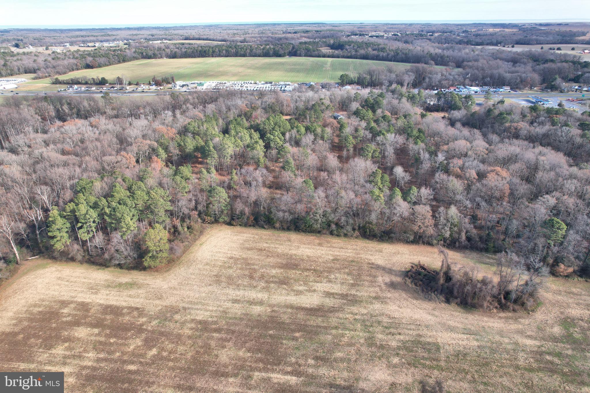 2367 Bay Road Milford, DE 19963 - Photo 9 of 11 a view of a dry yard with trees in the background
