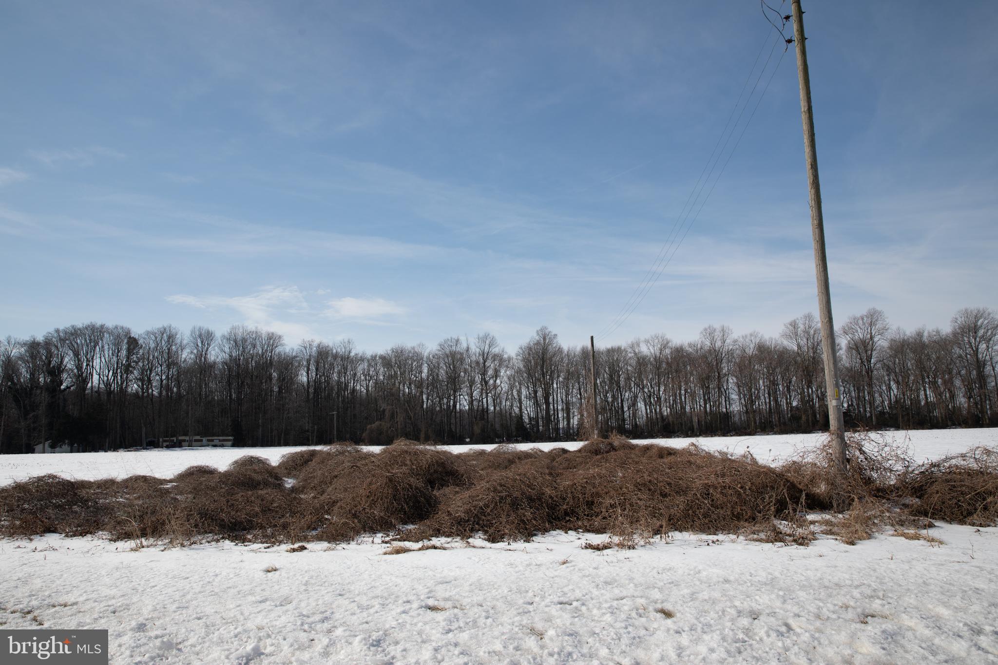 2367 Bay Road Milford, DE 19963 - Photo 9 of 14 a view of a yard covered with snow