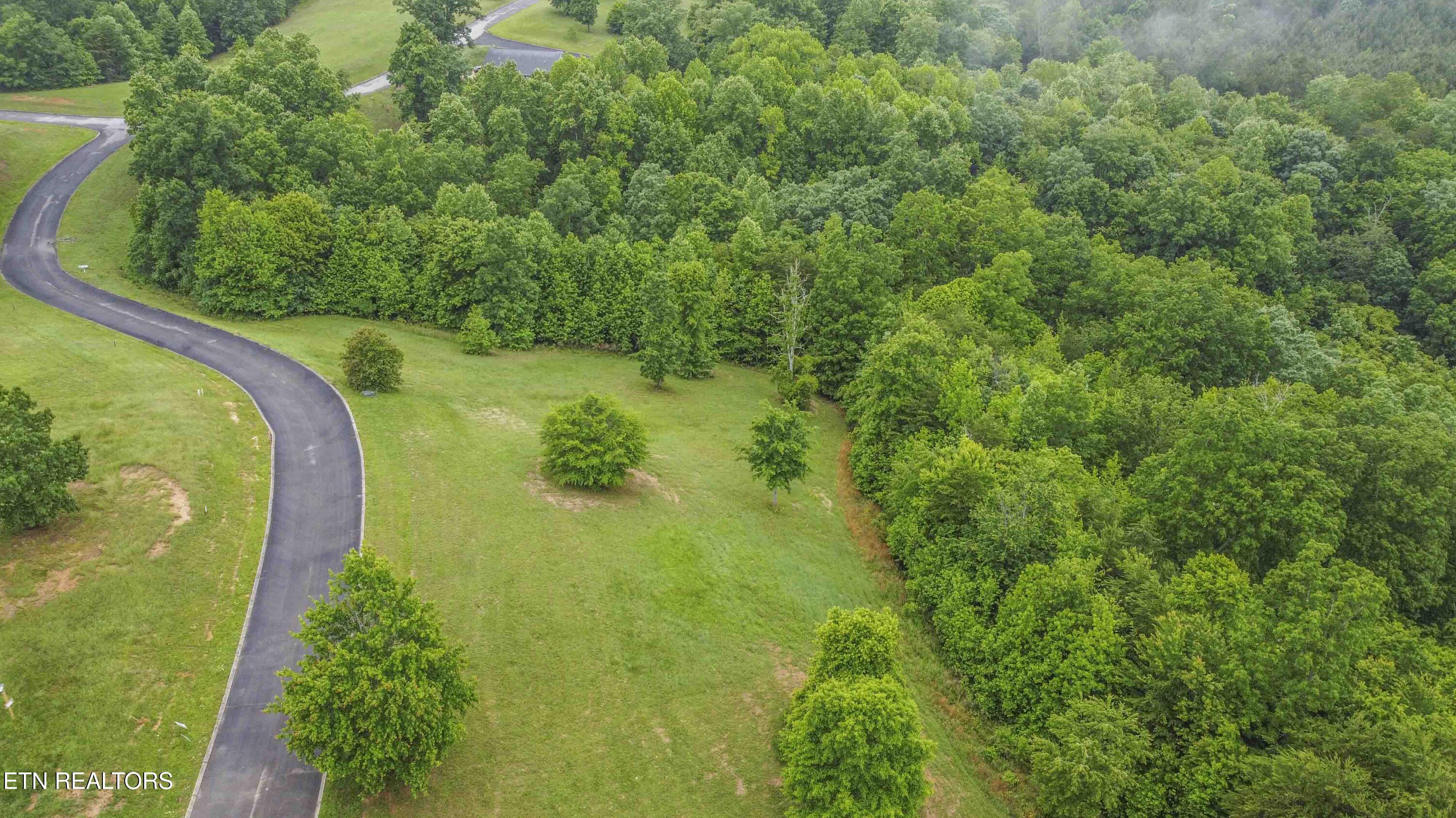 509 Hidden Frst Trail Spring City, TN 37381 - Photo 11 of 19 drone 1_1