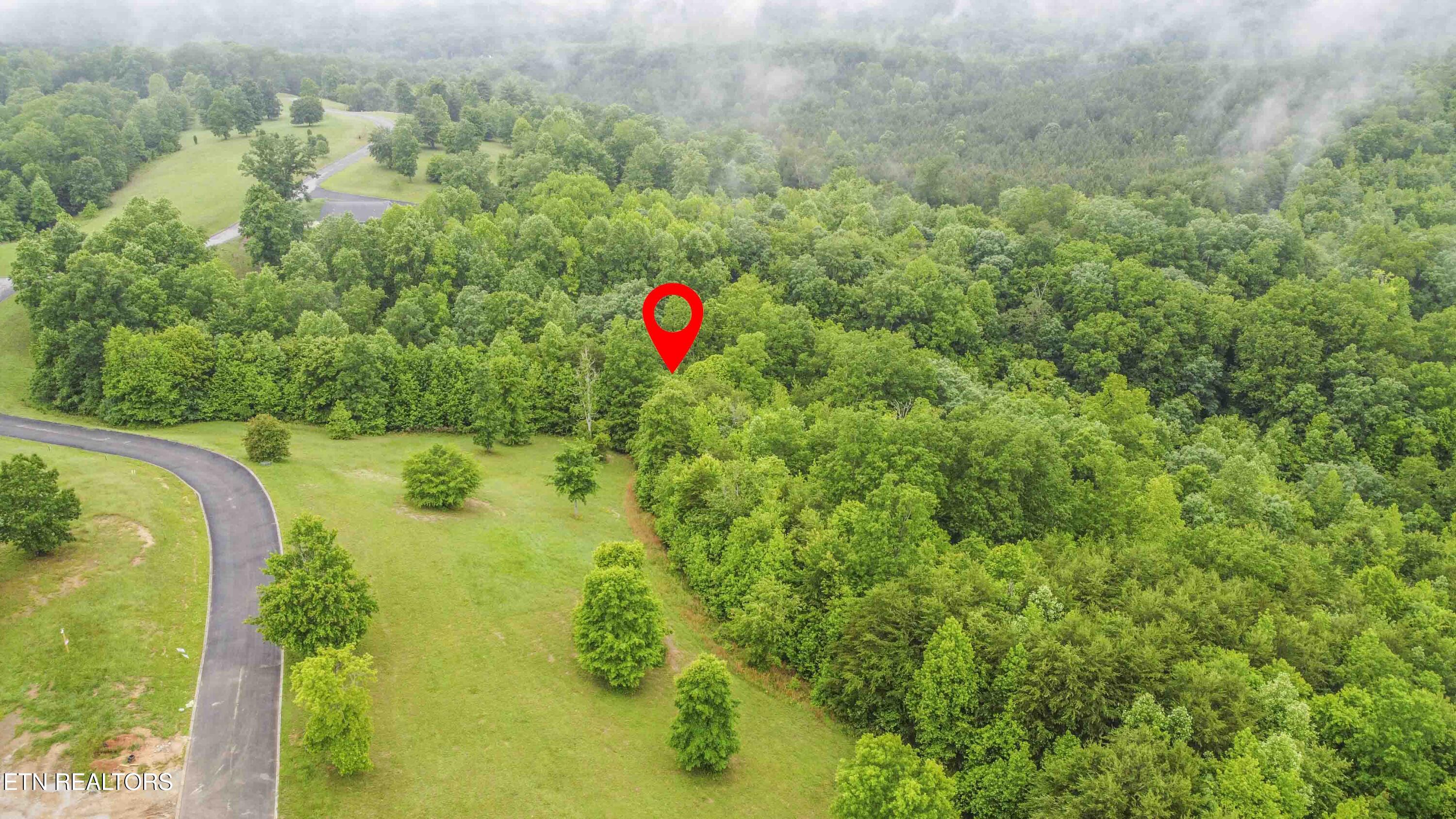 509 Hidden Frst Trail Spring City, TN 37381 - Photo 14 of 19 drone 4_1