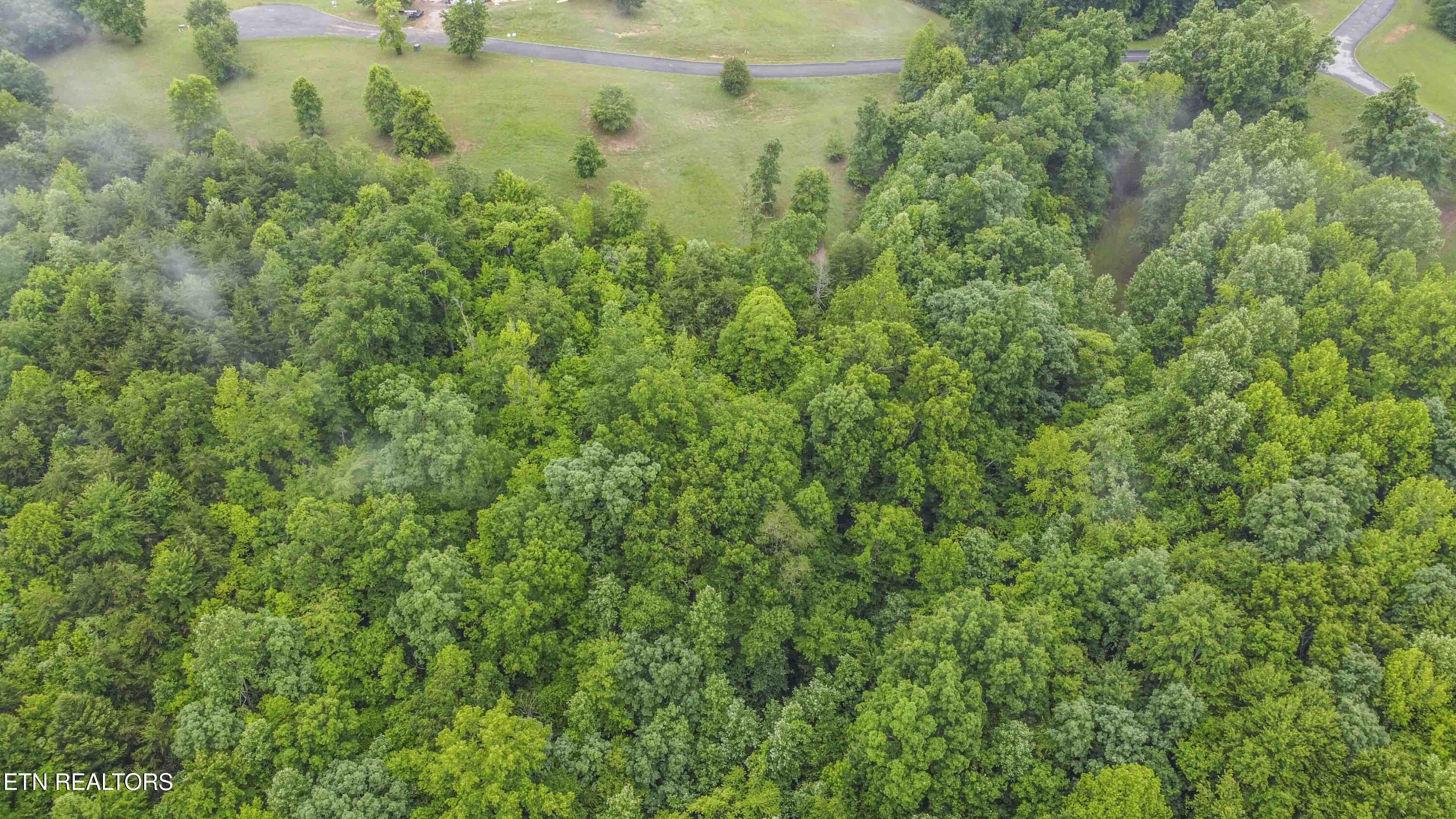 509 Hidden Frst Trail Spring City, TN 37381 - Photo 16 of 19 drone 6_1
