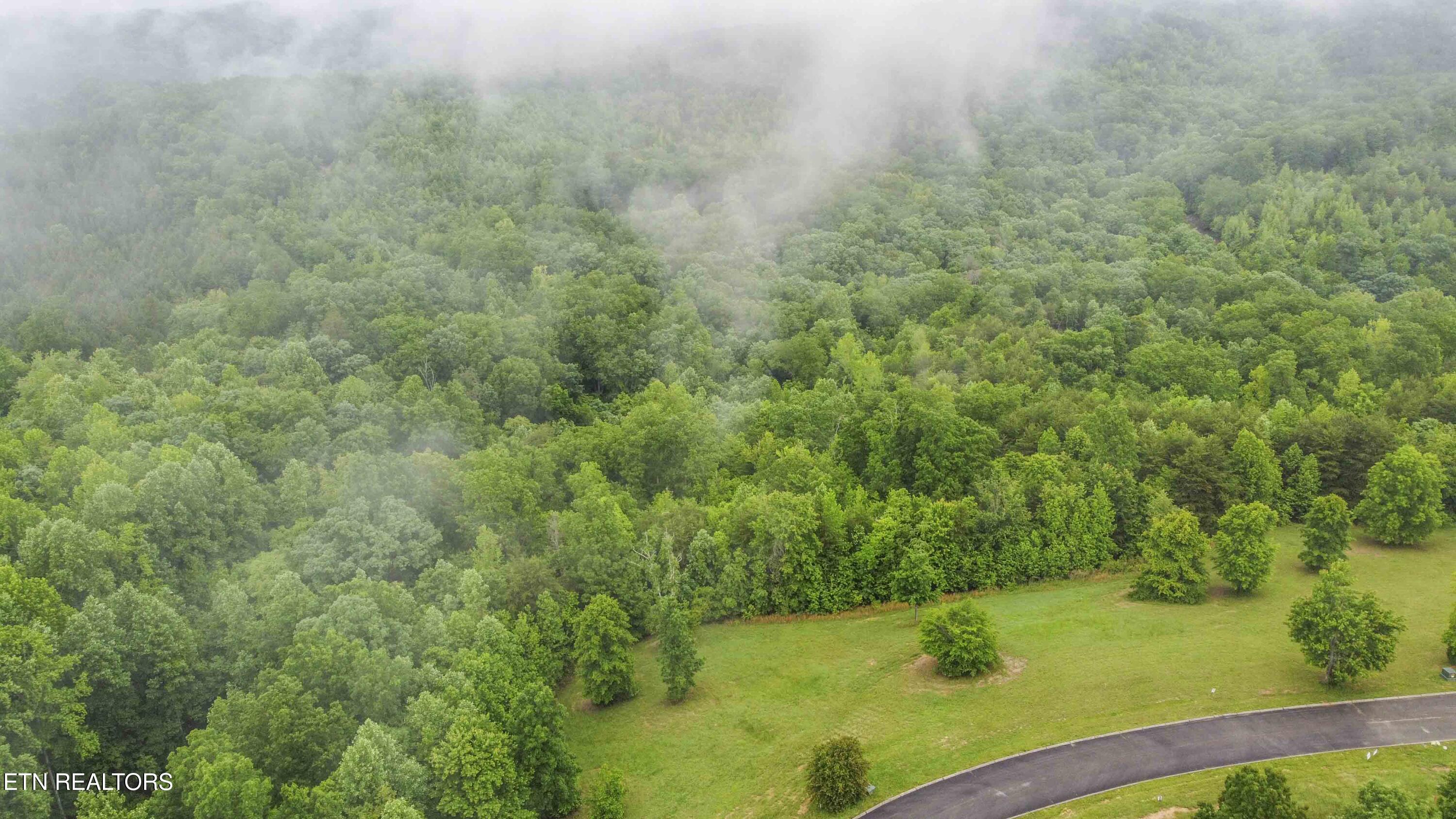 509 Hidden Frst Trail Spring City, TN 37381 - Photo 18 of 19 drone 12_1