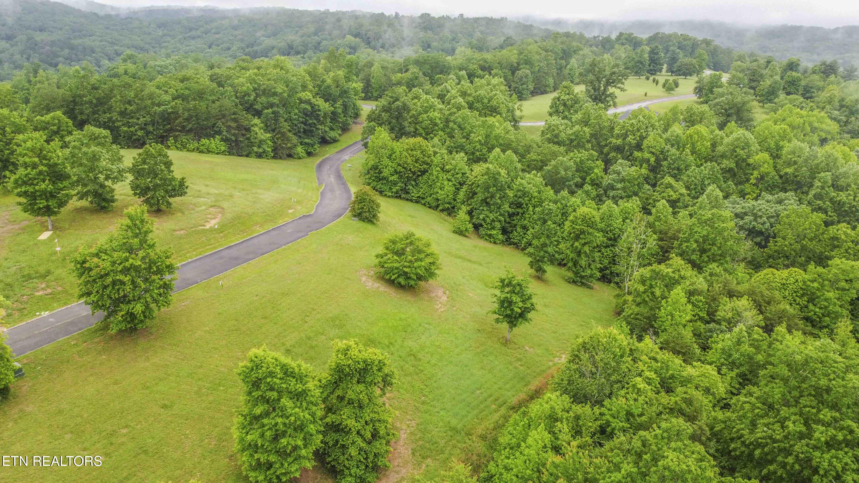 509 Hidden Frst Trail Spring City, TN 37381 - Photo 19 of 19 drone_1