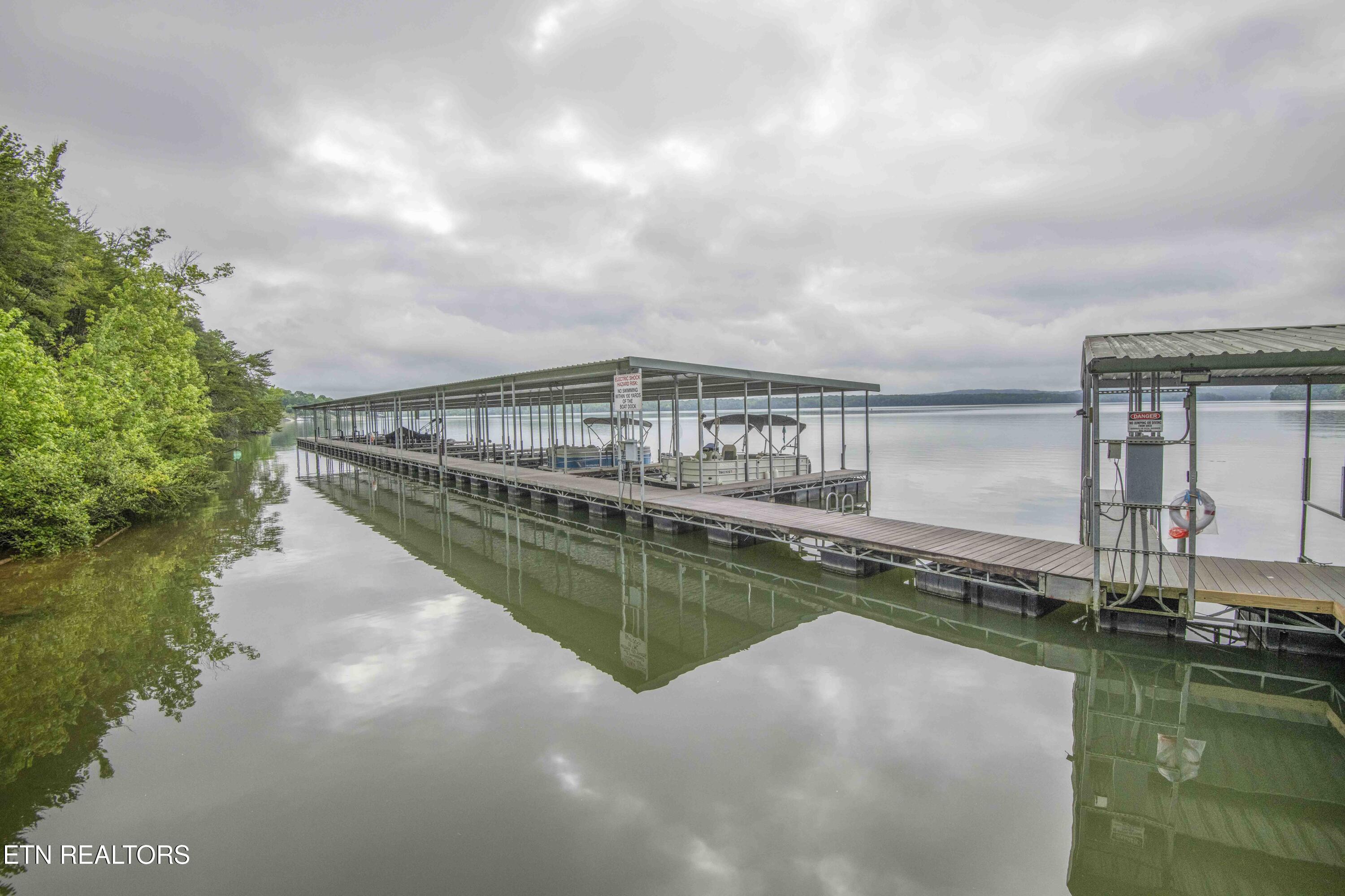 509 Hidden Frst Trail Spring City, TN 37381 - Photo 9 of 19 ground 4_1