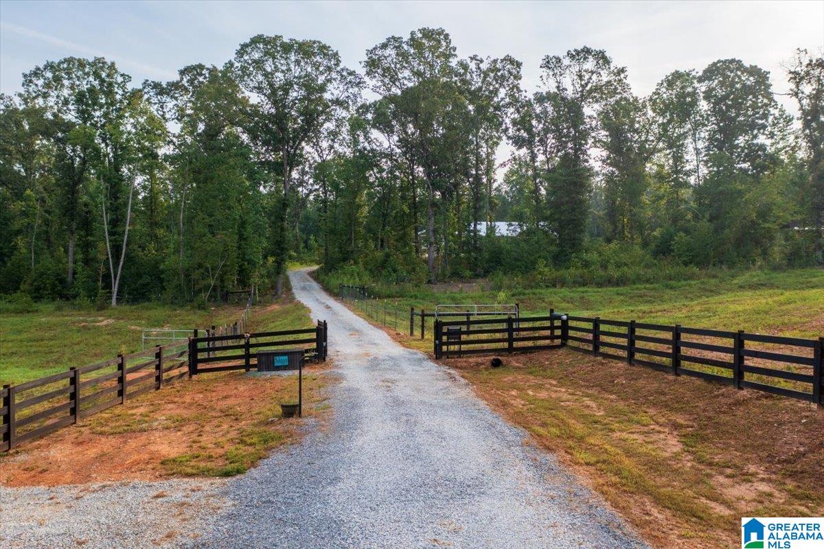 12414 County Road 49 Heflin, AL 36264 - Photo 20 of 63