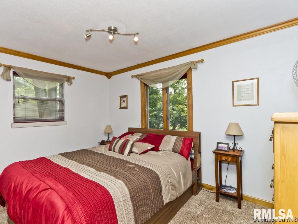 56 Amherst Drive Springfield, IL 62702 - Photo 11 of 29