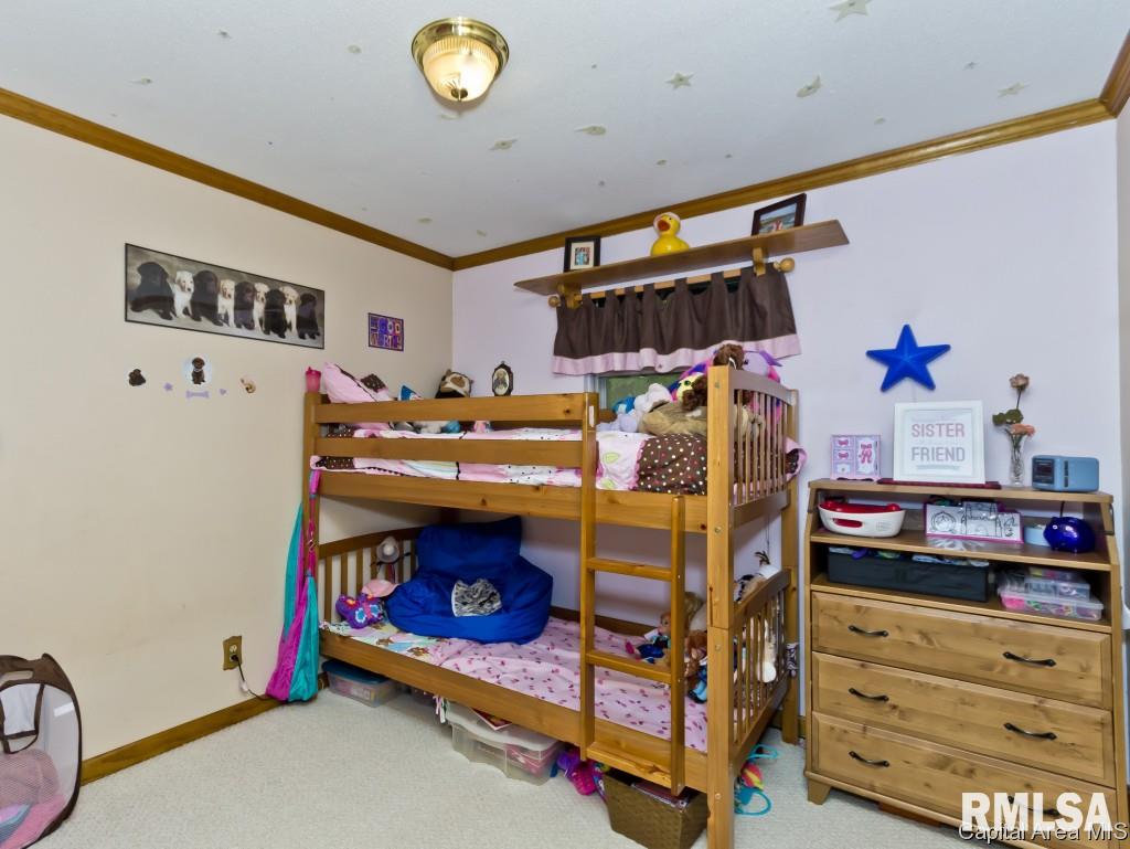 56 Amherst Drive Springfield, IL 62702 - Photo 12 of 29