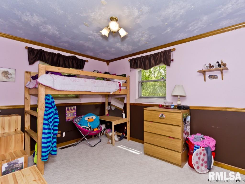 56 Amherst Drive Springfield, IL 62702 - Photo 13 of 29