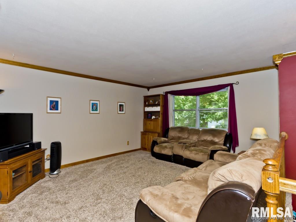 56 Amherst Drive Springfield, IL 62702 - Photo 23 of 29