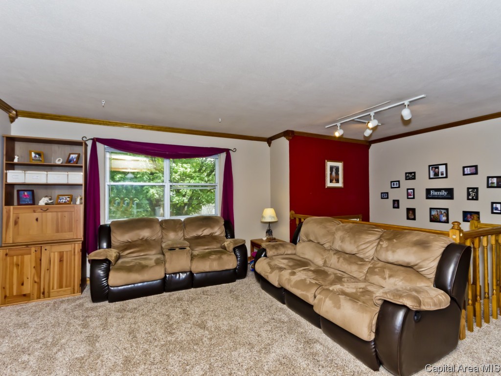 56 Amherst Drive Springfield, IL 62702 - Photo 25 of 29