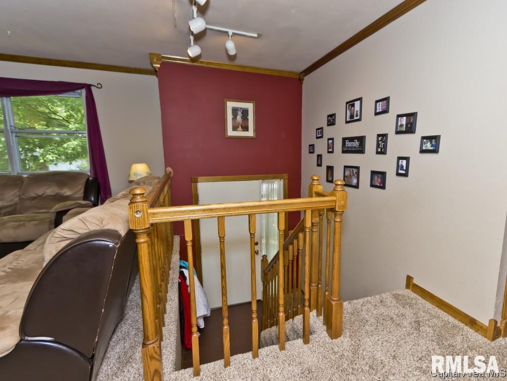 56 Amherst Drive Springfield, IL 62702 - Photo 26 of 29