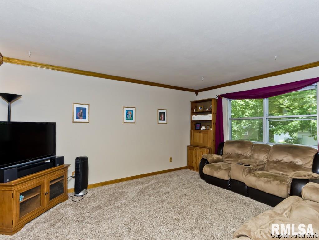 56 Amherst Drive Springfield, IL 62702 - Photo 28 of 29