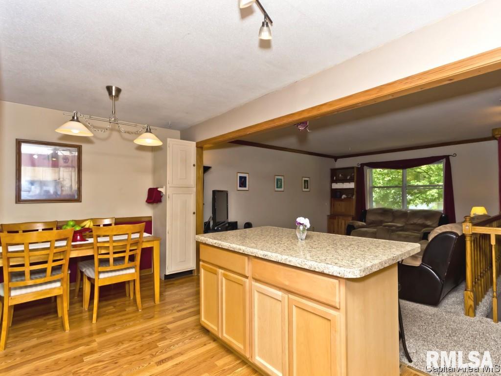 56 Amherst Drive Springfield, IL 62702 - Photo 29 of 29