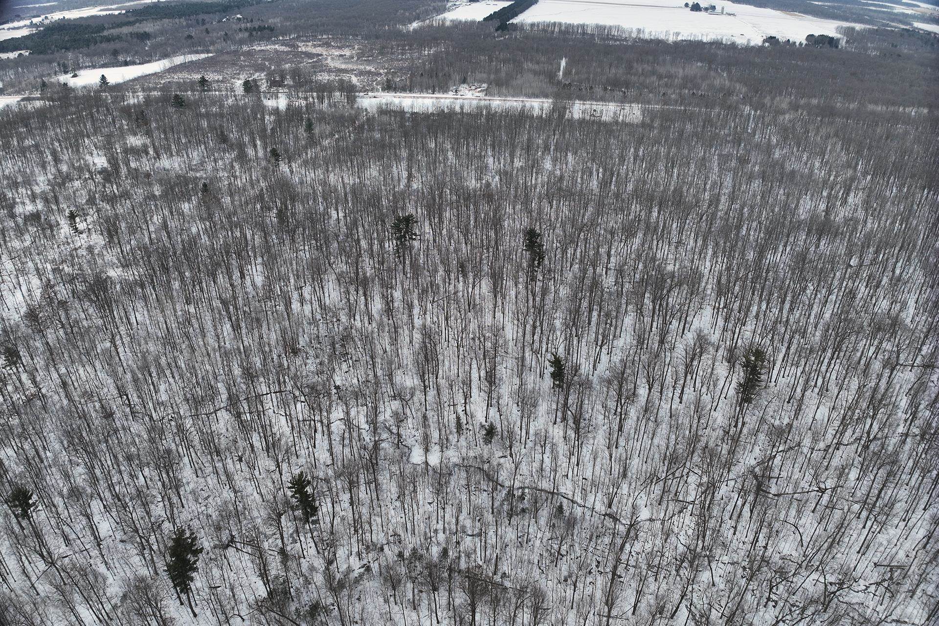 65.32-acres Bobwhite Road Neillsville, WI 54456 - Photo 7 of 26