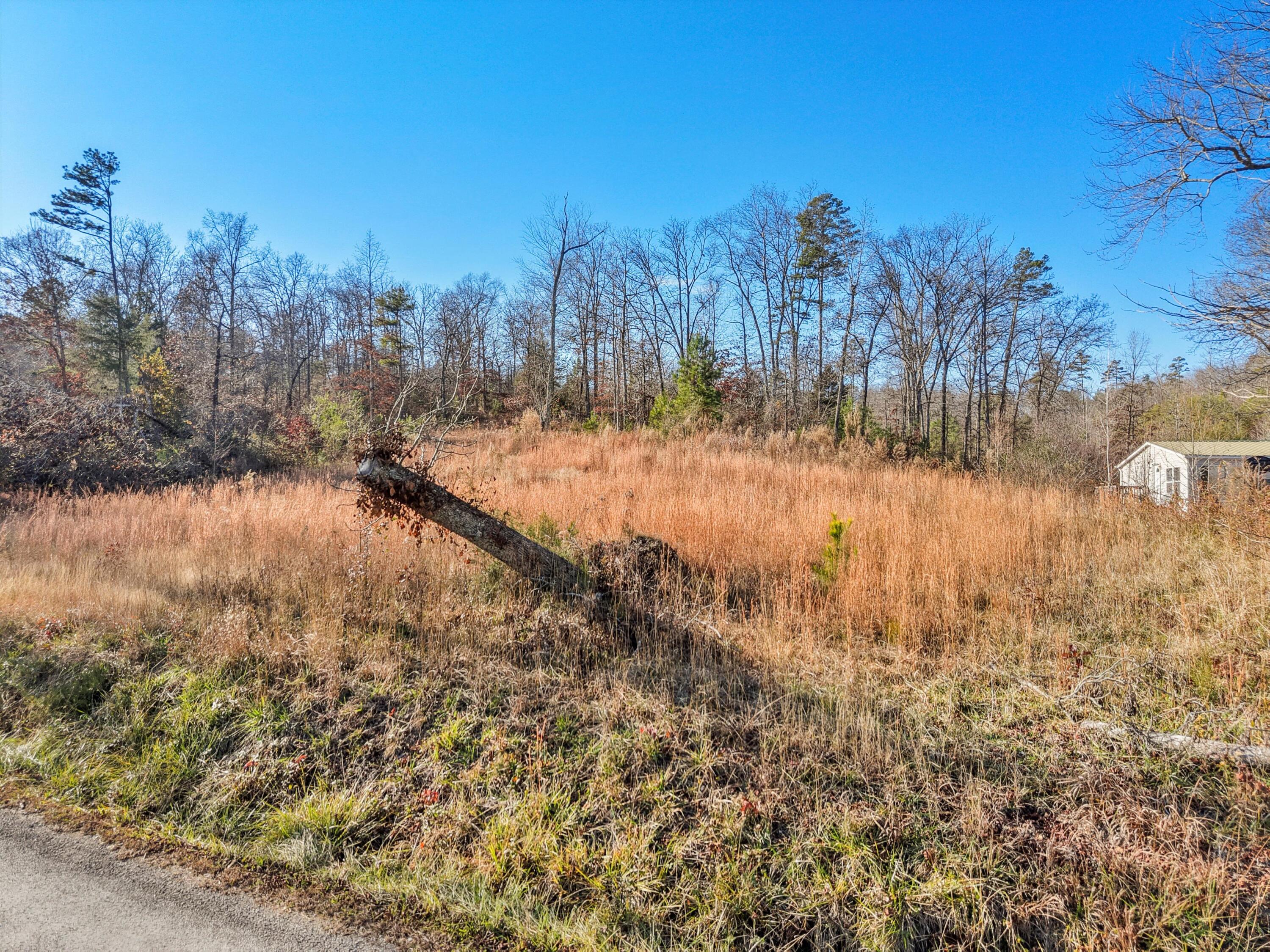 Lot 12 Liggett Road Decatur, TN 37322 - Photo 13 of 13 13-DJI_20251209143753_0153_D
