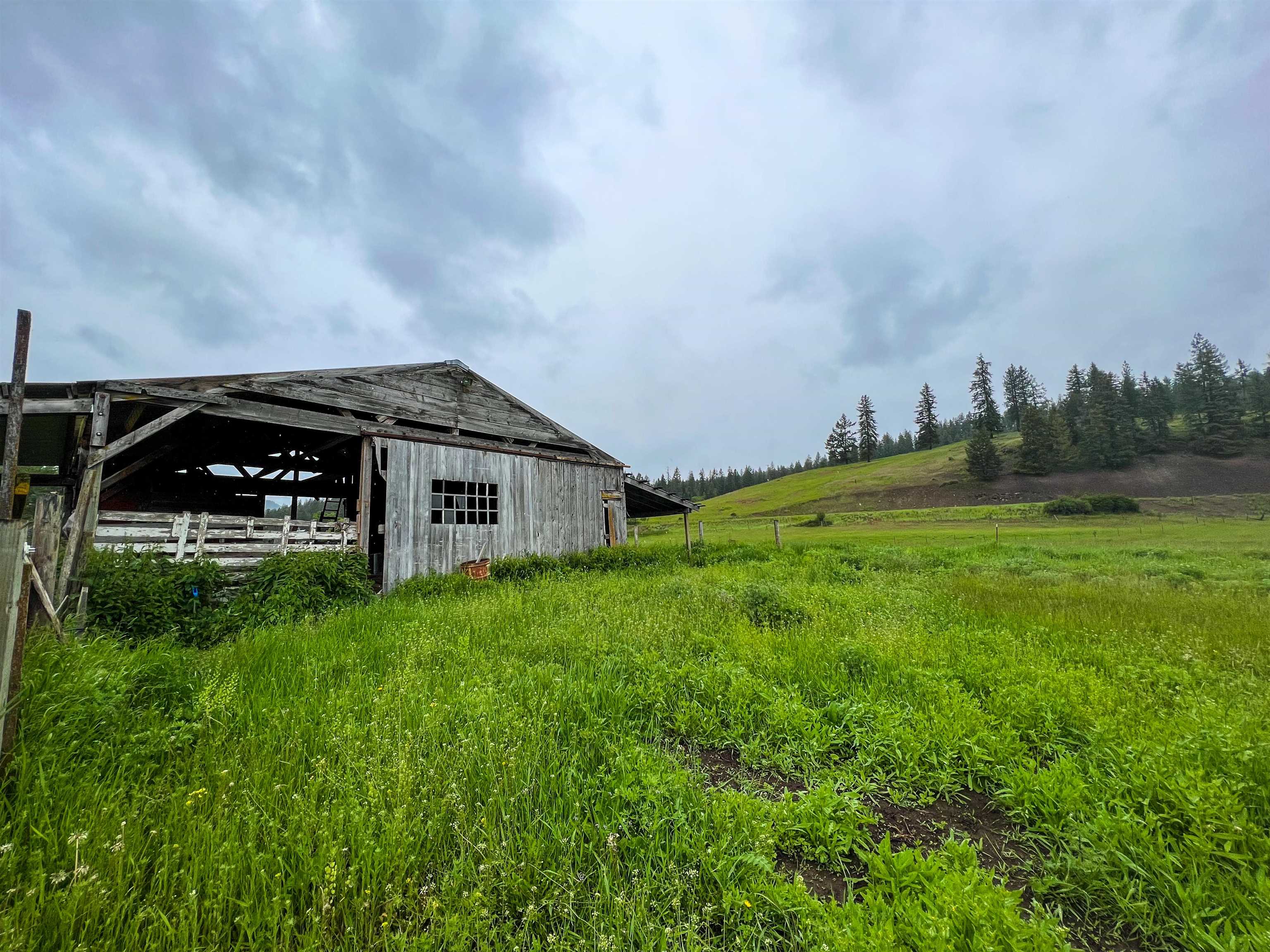 2435 Cedonia-Addy Road Addy, WA 99101 - Photo 34 of 50